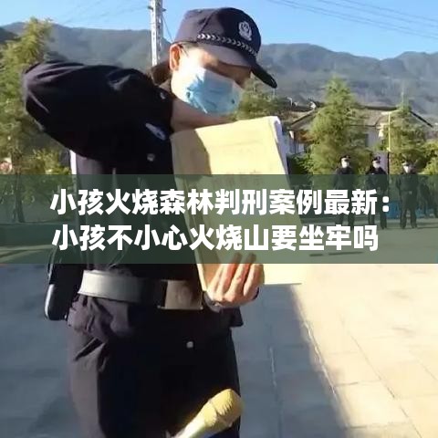 小孩火烧森林判刑案例最新：小孩不小心火烧山要坐牢吗 
