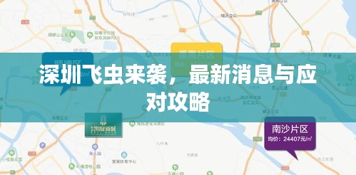 双瞳剪水 第2页