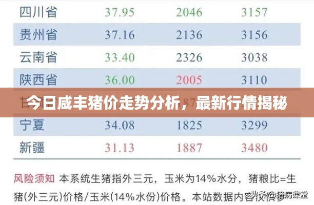 今日咸丰猪价走势分析，最新行情揭秘