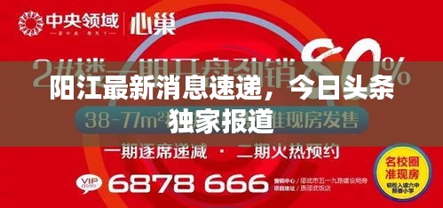 阳江最新消息速递，今日头条独家报道
