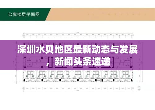 深圳水贝地区最新动态与发展，新闻头条速递