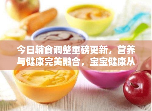 今日辅食调整重磅更新，营养与健康完美融合，宝宝健康从餐桌开始！