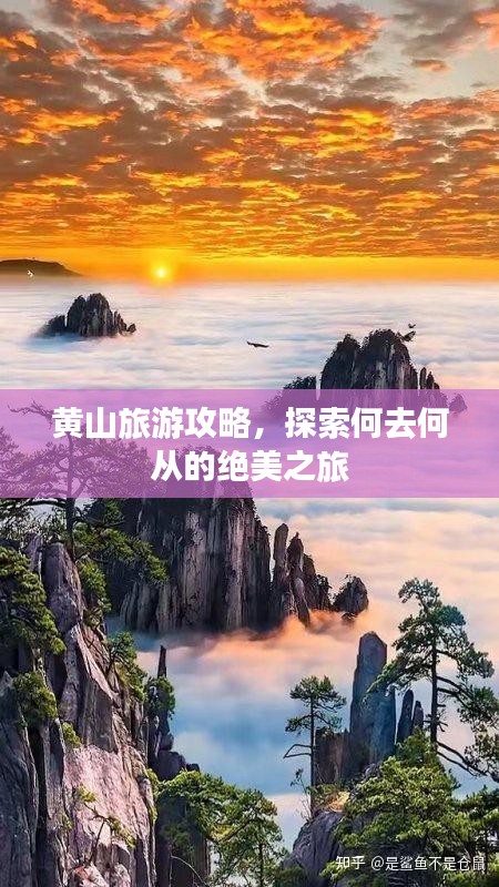黄山旅游攻略，探索何去何从的绝美之旅