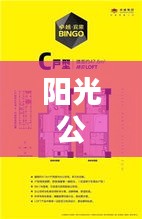 阳光公寓购物指南，最新图片与实用攻略一网打尽