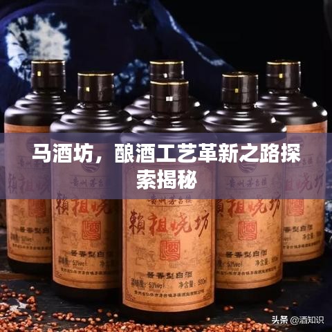 马酒坊，酿酒工艺革新之路探索揭秘