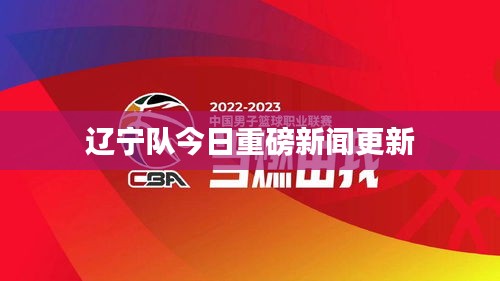 辽宁队今日重磅新闻更新