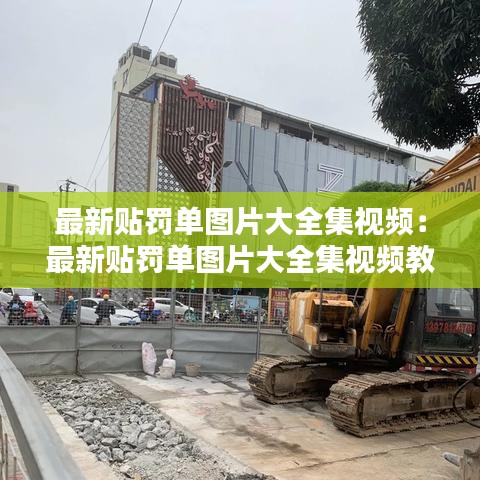 最新贴罚单图片大全集视频：最新贴罚单图片大全集视频教程 
