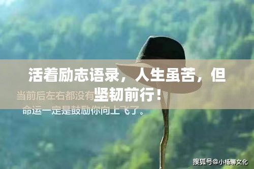 活着励志语录，人生虽苦，但坚韧前行！