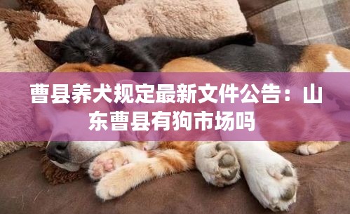 曹县养犬规定最新文件公告：山东曹县有狗市场吗 