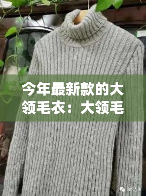 今年最新款的大领毛衣：大领毛衣编织视频 