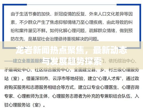 龙岩新闻热点聚焦，最新动态与发展趋势探索
