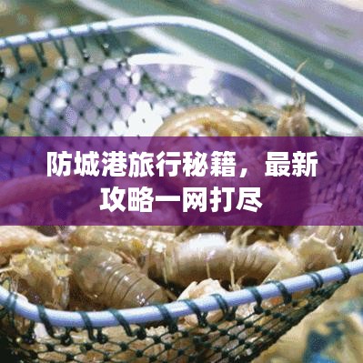 防城港旅行秘籍，最新攻略一网打尽