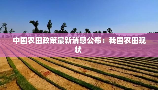 中国农田政策最新消息公布：我国农田现状 
