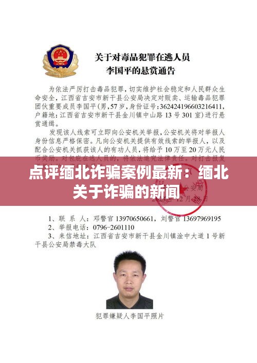 点评缅北诈骗案例最新：缅北关于诈骗的新闻 