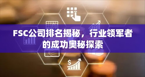 FSC公司排名揭秘，行业领军者的成功奥秘探索