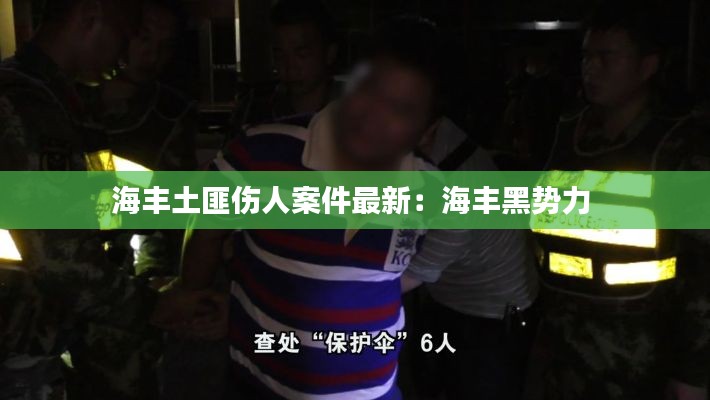 海丰土匪伤人案件最新：海丰黑势力 