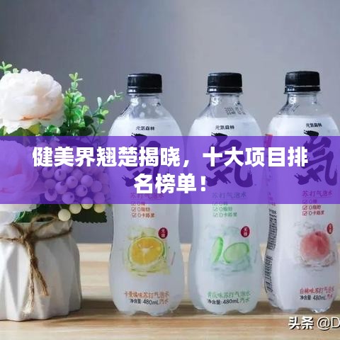 健美界翘楚揭晓，十大项目排名榜单！