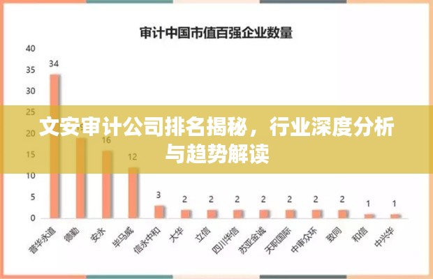 文安审计公司排名揭秘，行业深度分析与趋势解读