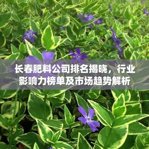 长春肥料公司排名揭晓，行业影响力榜单及市场趋势解析