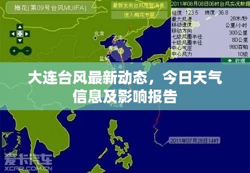 大连台风最新动态，今日天气信息及影响报告