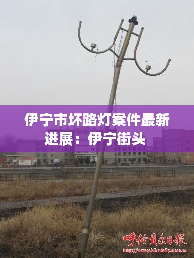 伊宁市坏路灯案件最新进展：伊宁街头 