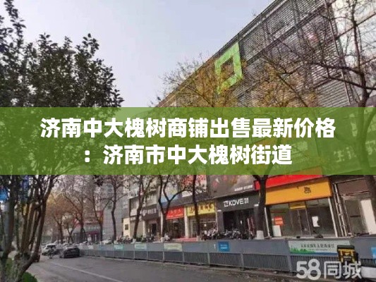 济南中大槐树商铺出售最新价格：济南市中大槐树街道 