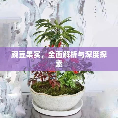 豌豆果实，全面解析与深度探索