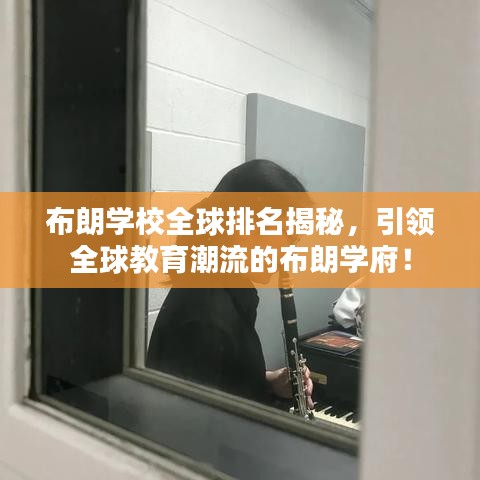 布朗学校全球排名揭秘，引领全球教育潮流的布朗学府！