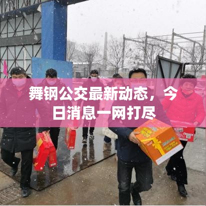 舞钢公交最新动态，今日消息一网打尽