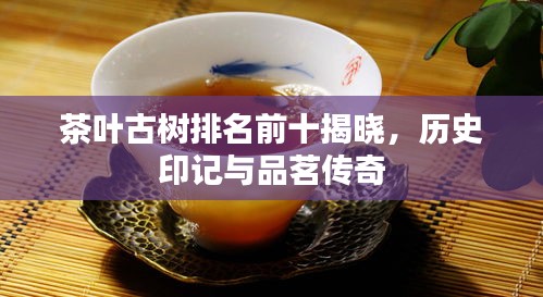 茶叶古树排名前十揭晓，历史印记与品茗传奇