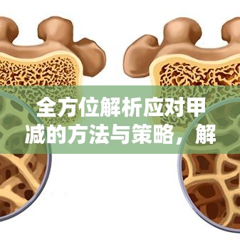 全方位解析应对甲减的方法与策略，解决你的困扰！