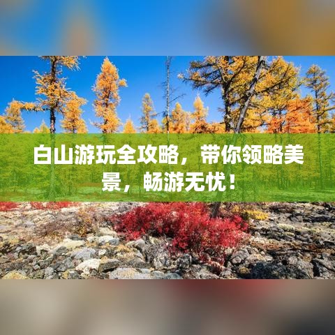 白山游玩全攻略，带你领略美景，畅游无忧！