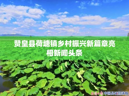 赞皇县荷塘镇乡村振兴新篇章亮相新闻头条
