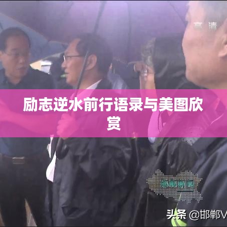 励志逆水前行语录与美图欣赏