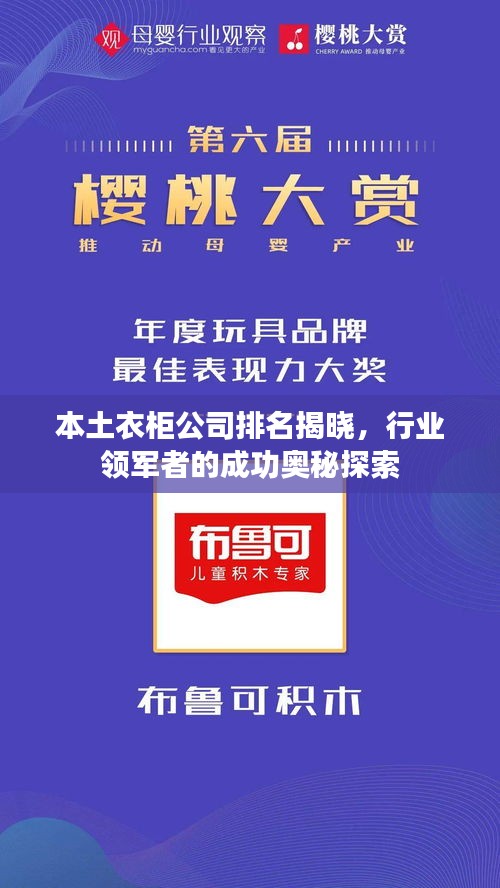 本土衣柜公司排名揭晓，行业领军者的成功奥秘探索