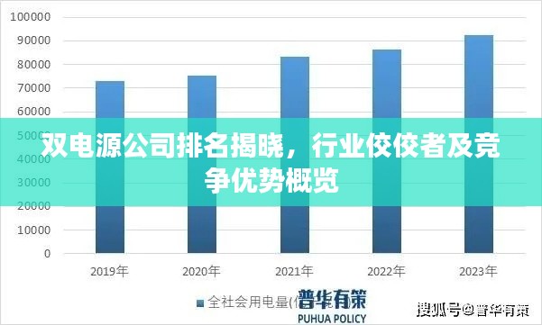 双电源公司排名揭晓，行业佼佼者及竞争优势概览
