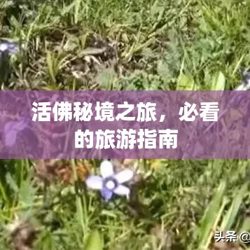 活佛秘境之旅，必看的旅游指南