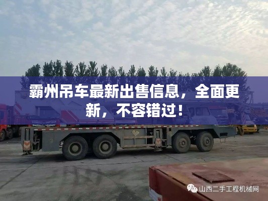 霸州吊车最新出售信息，全面更新，不容错过！