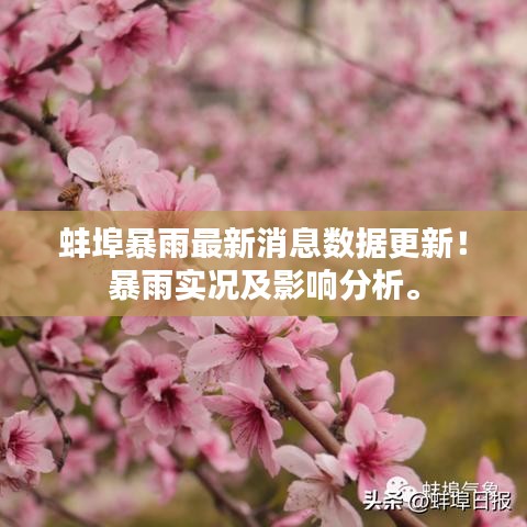 蚌埠暴雨最新消息数据更新！暴雨实况及影响分析。