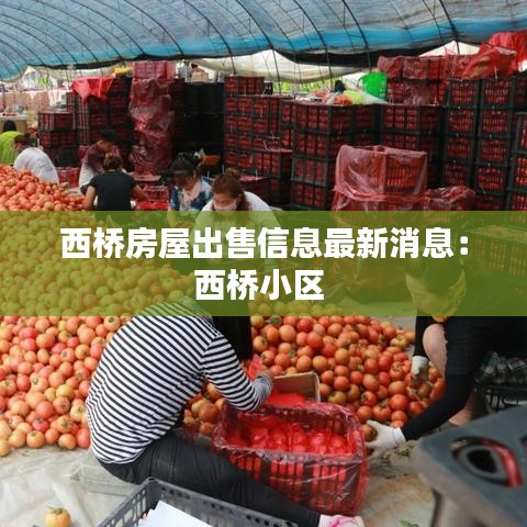 西桥房屋出售信息最新消息：西桥小区 