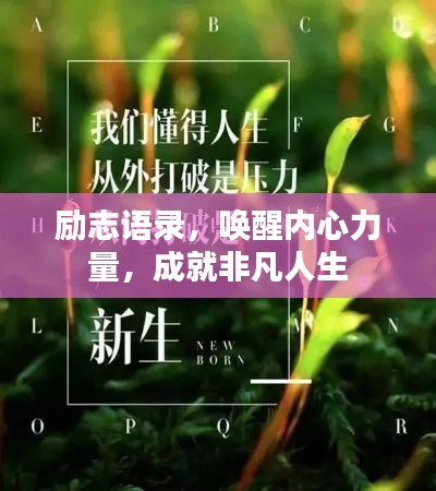 冰清玉洁 第2页