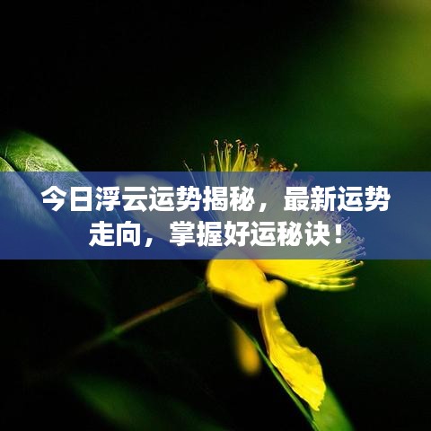 兵贵神速 第2页