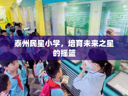 泰州民星小学，培育未来之星的摇篮