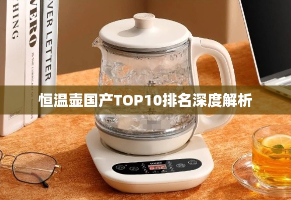 恒温壶国产TOP10排名深度解析