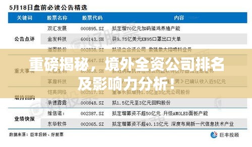 重磅揭秘，境外全资公司排名及影响力分析！
