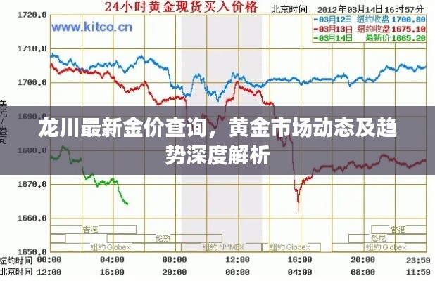 龙川最新金价查询，黄金市场动态及趋势深度解析