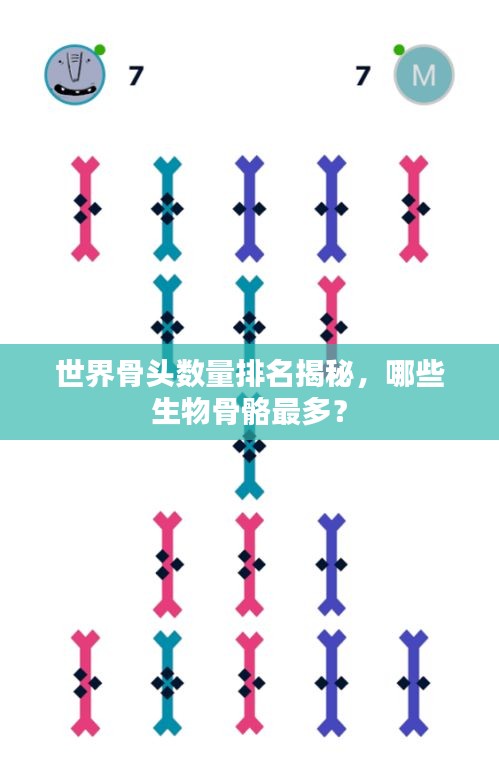 世界骨头数量排名揭秘，哪些生物骨骼最多？