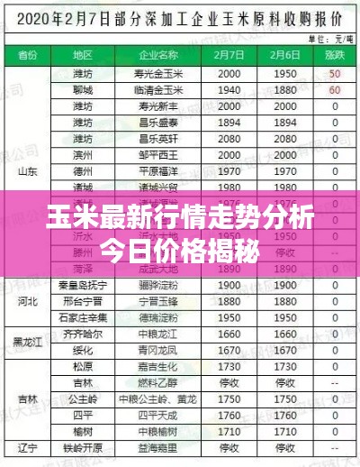 玉米最新行情走势分析今日价格揭秘