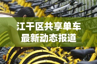 江干区共享单车最新动态报道