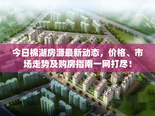 今日棉湖房源最新动态，价格、市场走势及购房指南一网打尽！
